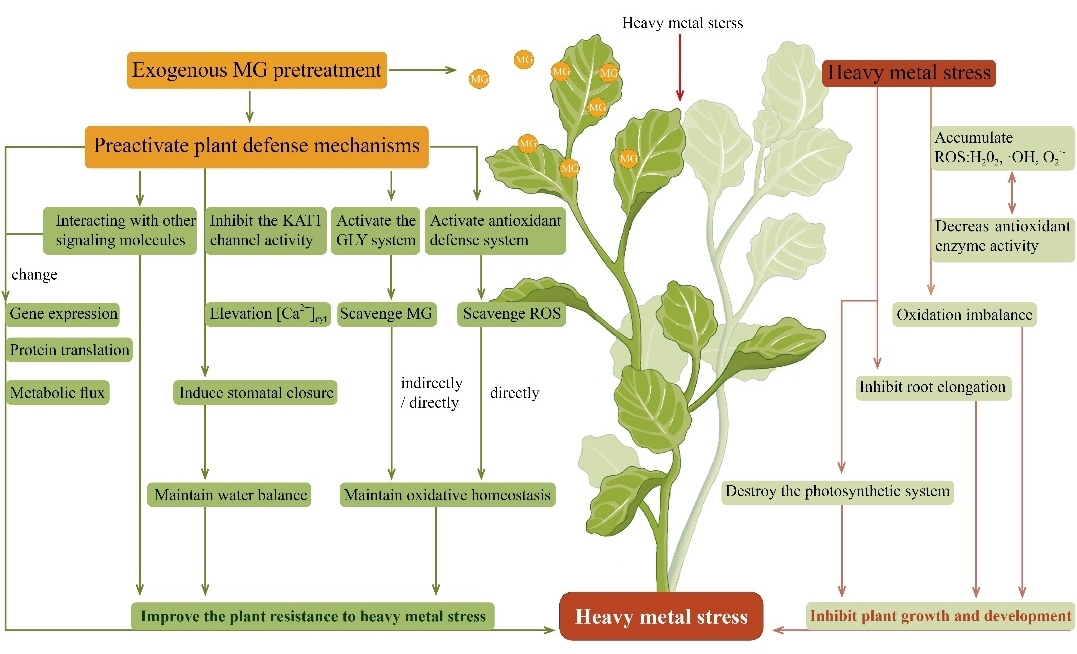 图片2_46118图片2