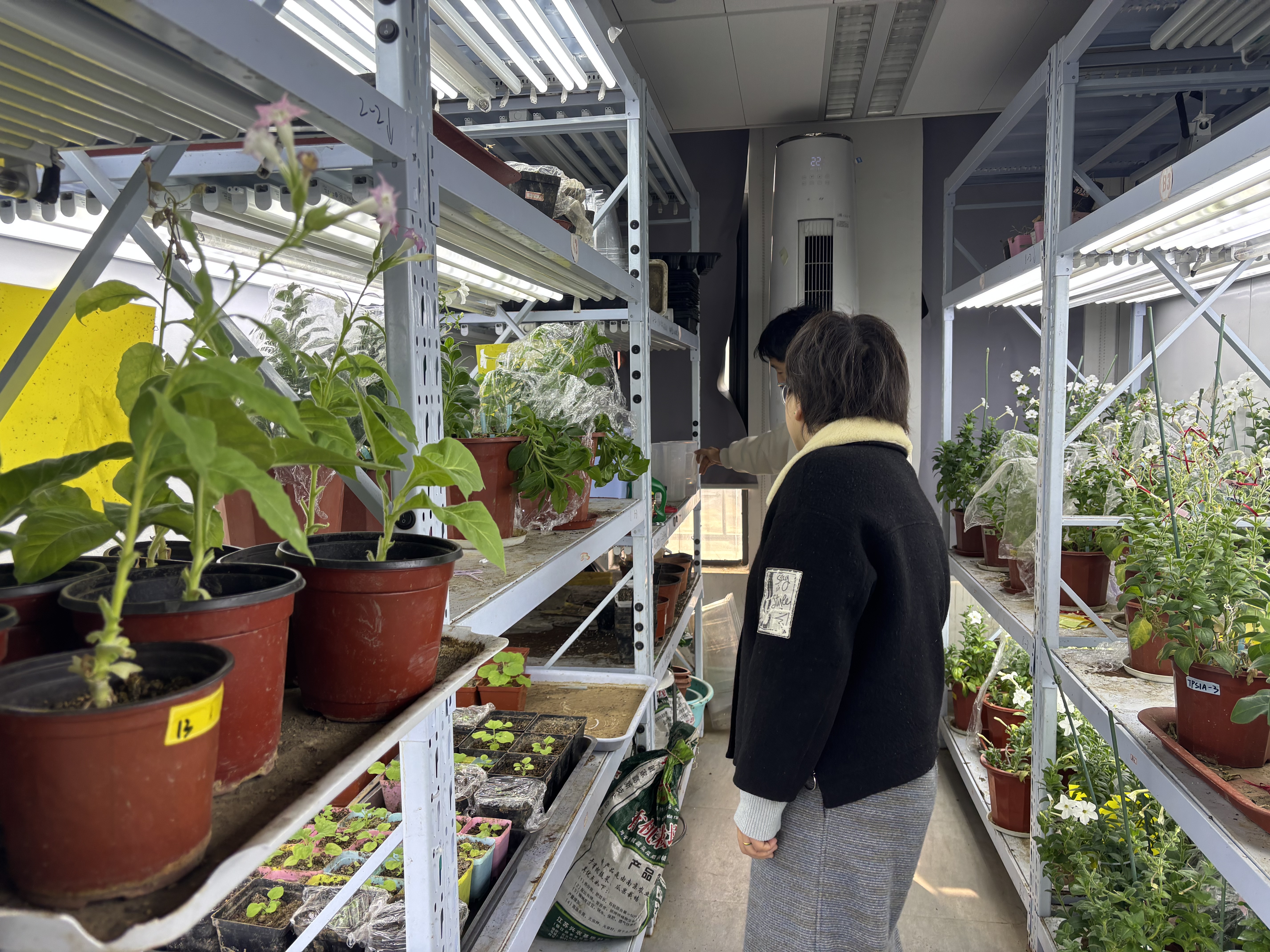 微信图片_20251231114423_137_123